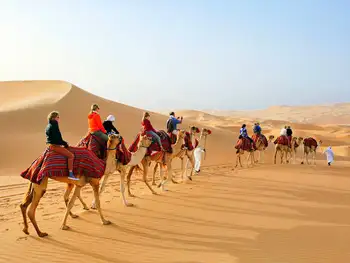 Top Desert Routes for Camel Trekking in Abu Dhabi