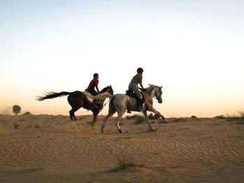 Desert Horse Riding Abu Dhabi