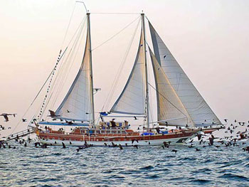 Luxury Dhow Cruise Boat Tour Abu Dhabi