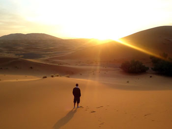 Evening Desert Safari Bus Pickup Abu Dhabi