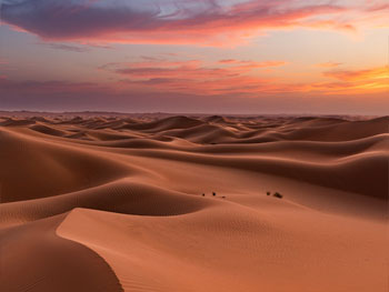 Private Liwa Full Day Desert Safari